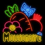 Jugar