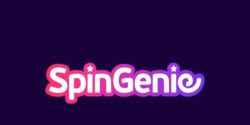 Spingenie.com