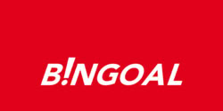 Bingoalcasino.be